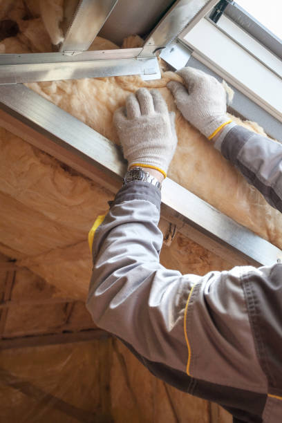 Best Affordable Insulation Services  in USA